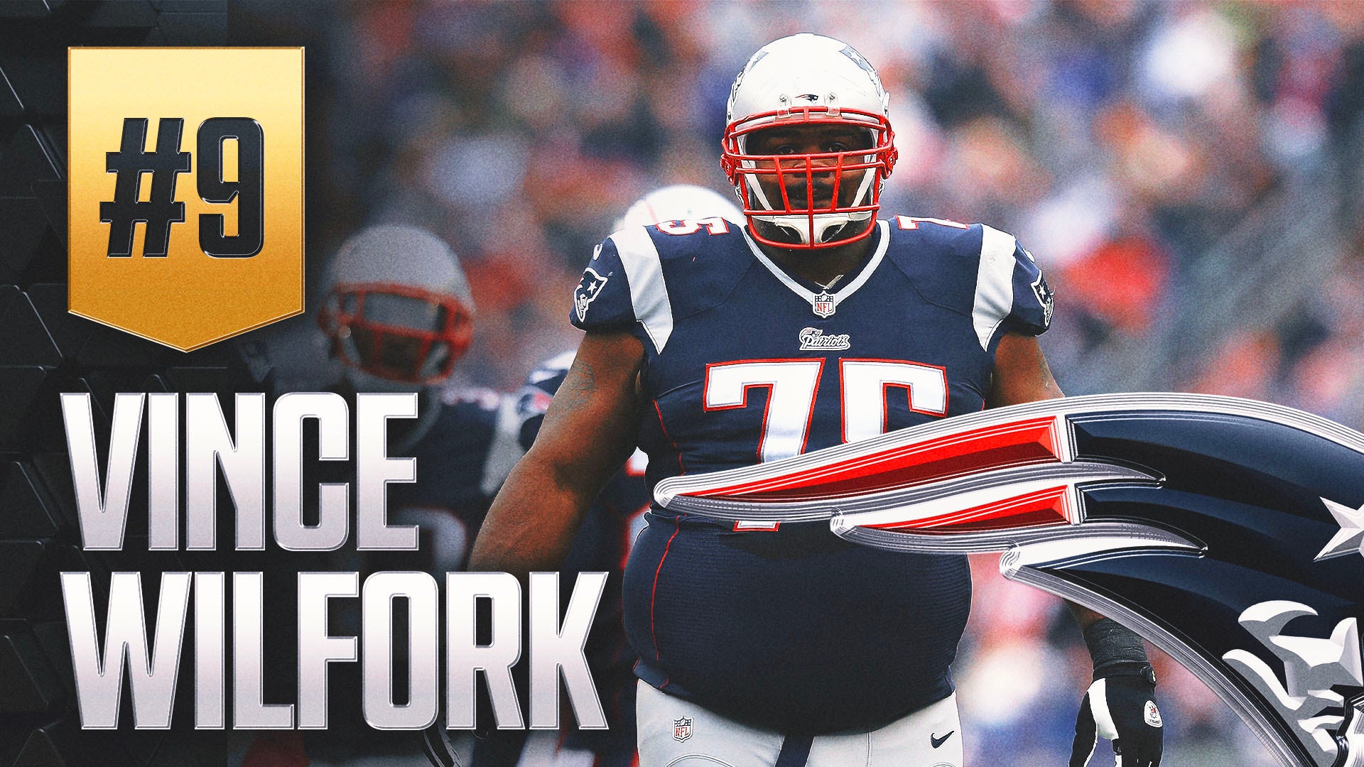 Vince Wilfork image